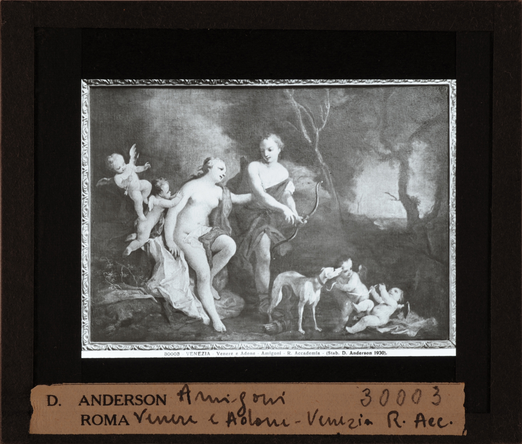 Iacopo Amigoni - Venere e Adone (diapositiva) di Amigoni, Iacopo, Anderson, Domenico (stabilimento) (prima metà XX)