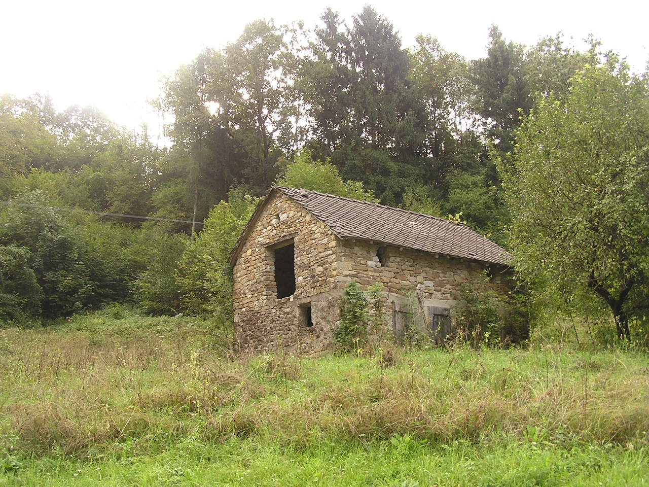 Fienile/stalla - Edificio rurale (fienile) - Chies d'Alpago (BL)  (XIX, inizio)