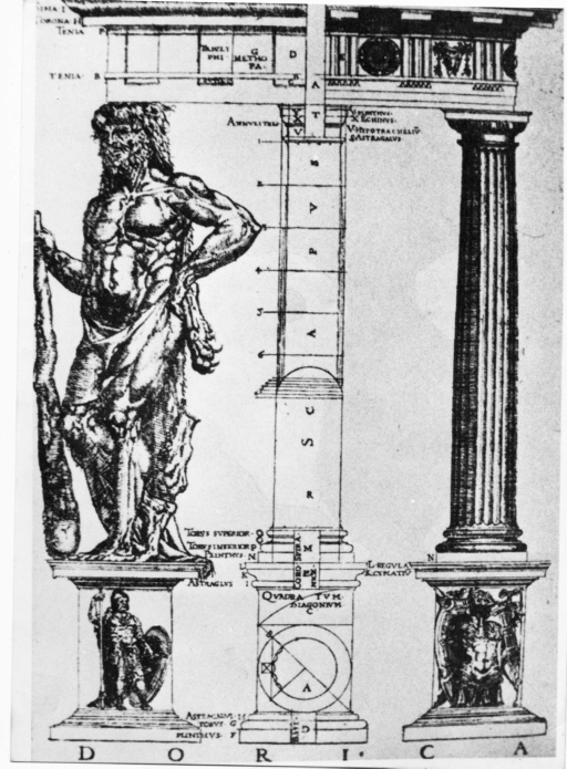 Trattato - architettura - ordine dorico (positivo) di anonimo (seconda meta' XX)