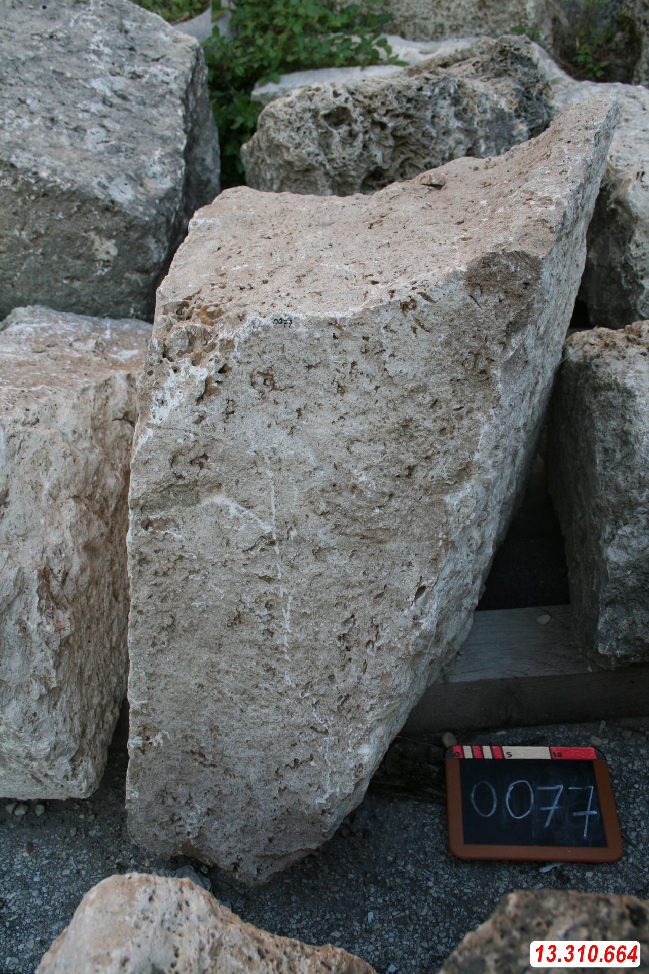 materiale conservato in deposito (materiale lapideo) (metà I d.C)