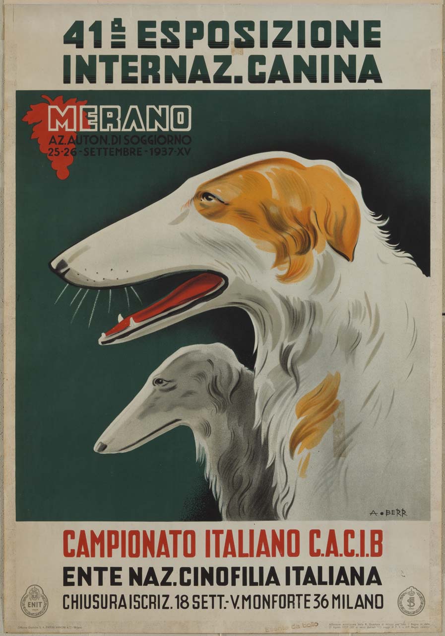 due cani levrieri russi (manifesto) di Berretti Alessandro (sec. XX)