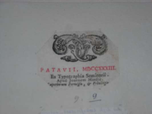 motivo decorativo floreale (stampa, frammento) - ambito europeo (sec. XVIII)