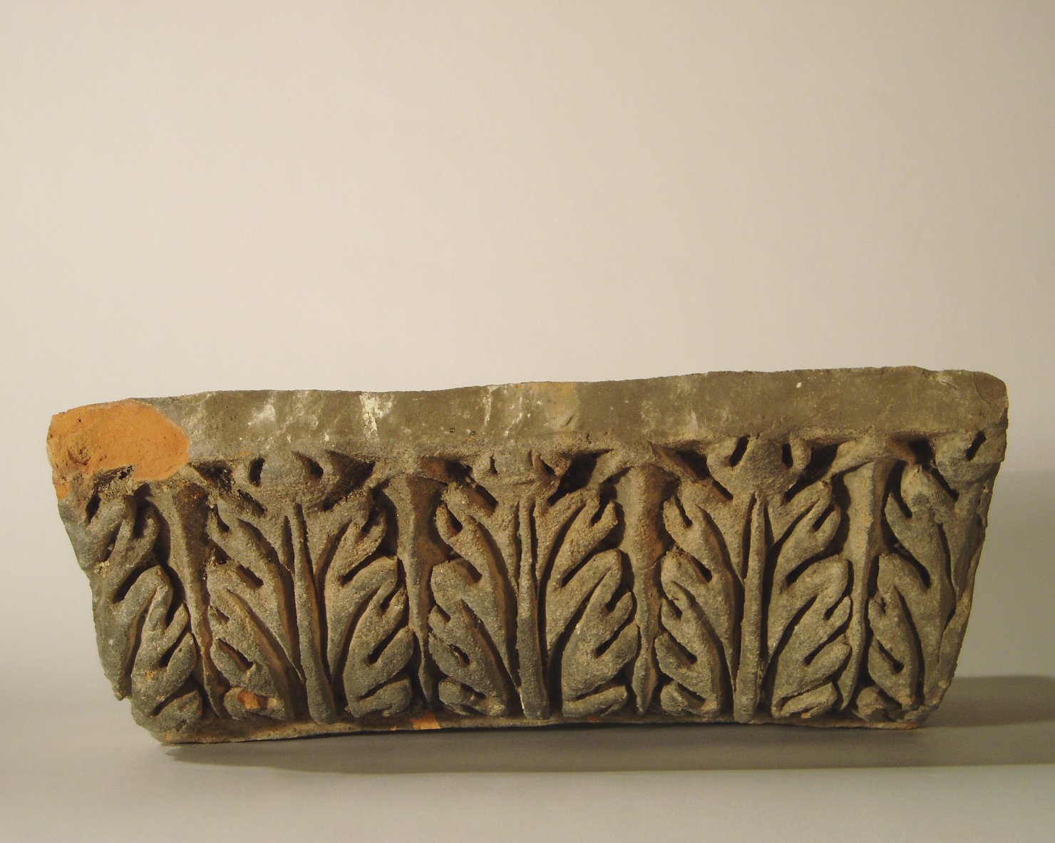 motivo decorativo a foglie d'acanto (elemento di decorazione architettonica a rilievo - profilo a gola diritta) - manifattura mantovana (?) (XIX)