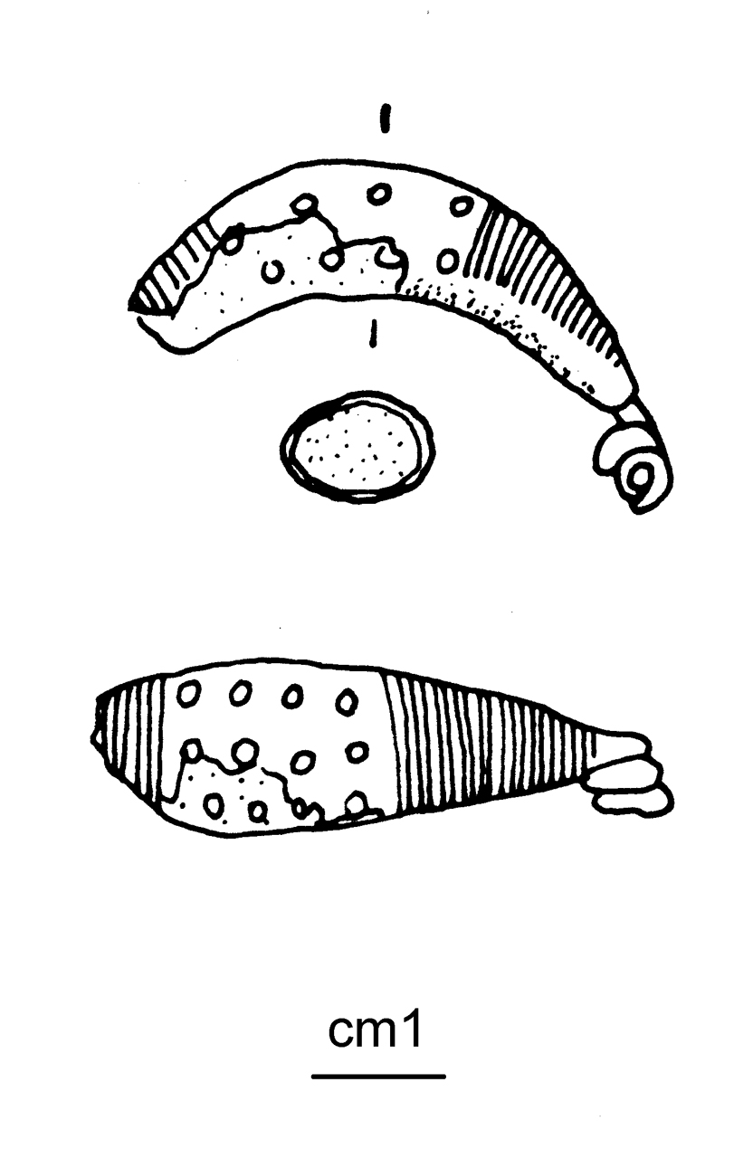 fibula a sanguisuga, Peroni 54,7 - cultura di Golasecca (G. IIB) (seconda metà VI a.C)