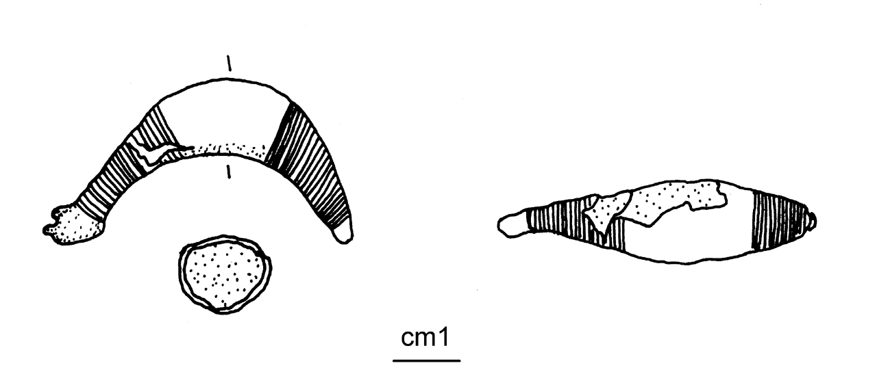 fibula a sanguisuga, Peroni 54,4 - cultura di Golasecca (G. IIB) (seconda metà VI a.C)
