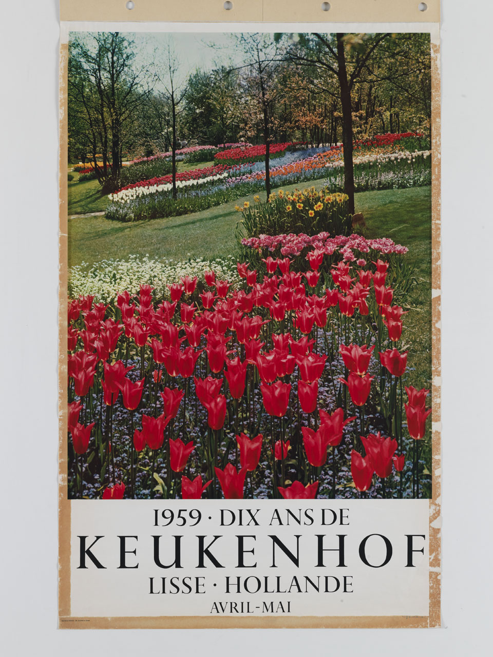 parco con aiuole a fiori colorati (manifesto) - ambito olandese (sec. XX)