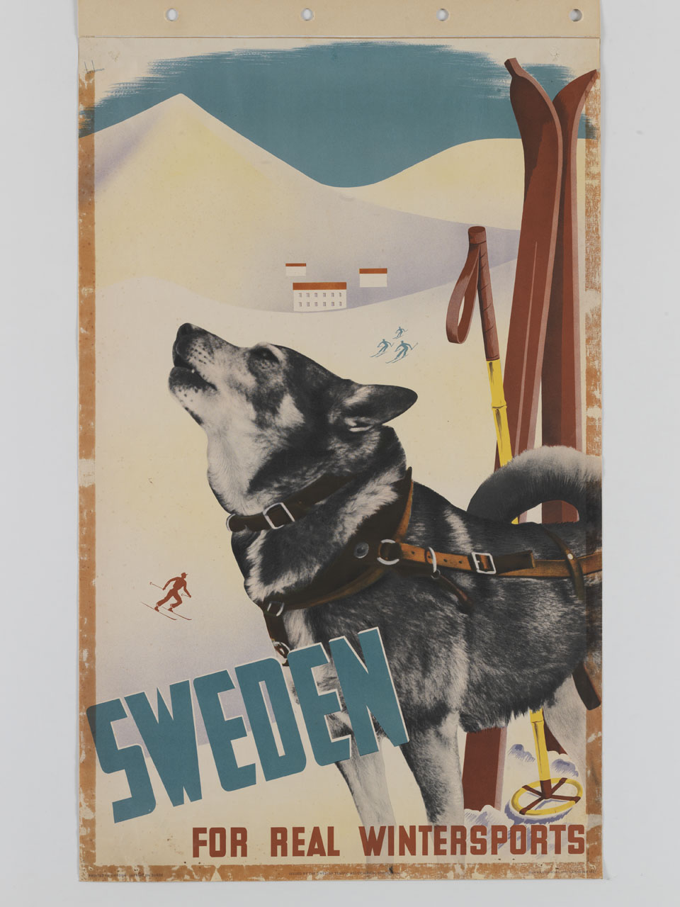 cane da slitta nei pressi di una pista da sci (manifesto) di Beckman Anders (sec. XX)