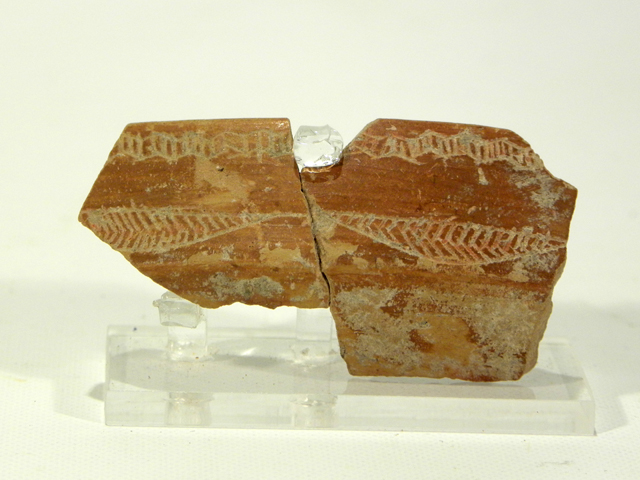 ciotola/ frammento (Neolitico medio)