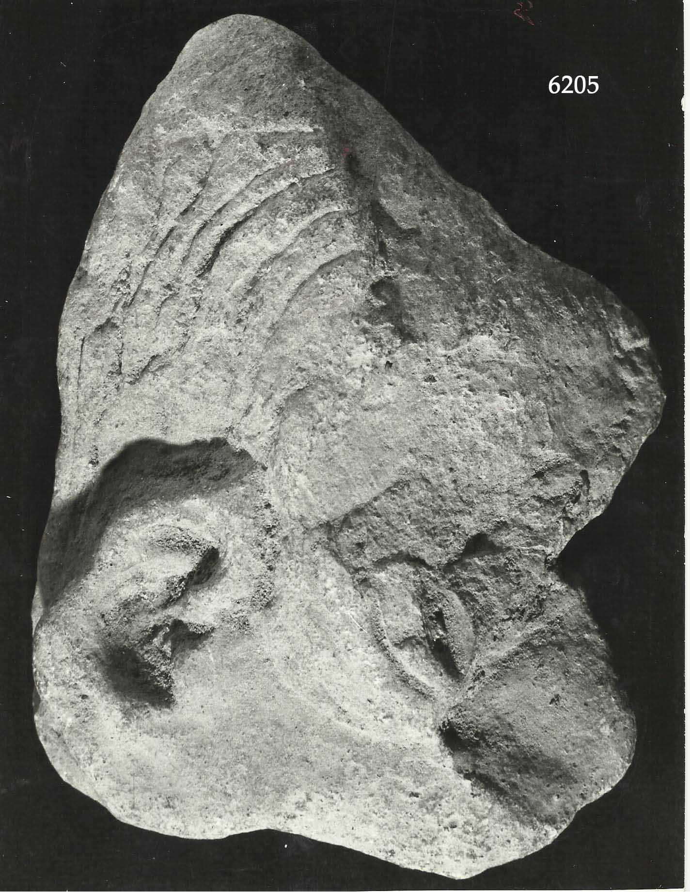 testa, frammento, terrecotte votive (III a.C)