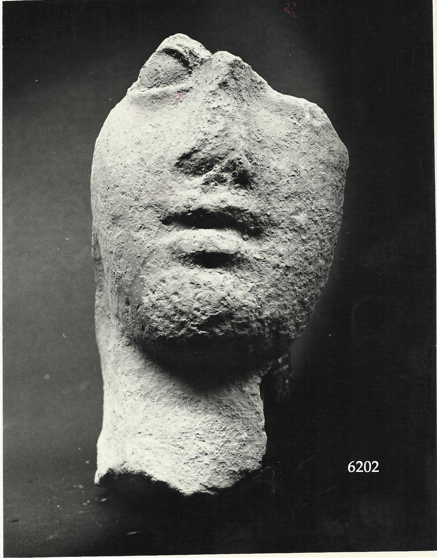 offerente (testa, Marinucci, prototipo -x-, coroplatica, terrecotte votive) (IV - III a.C)