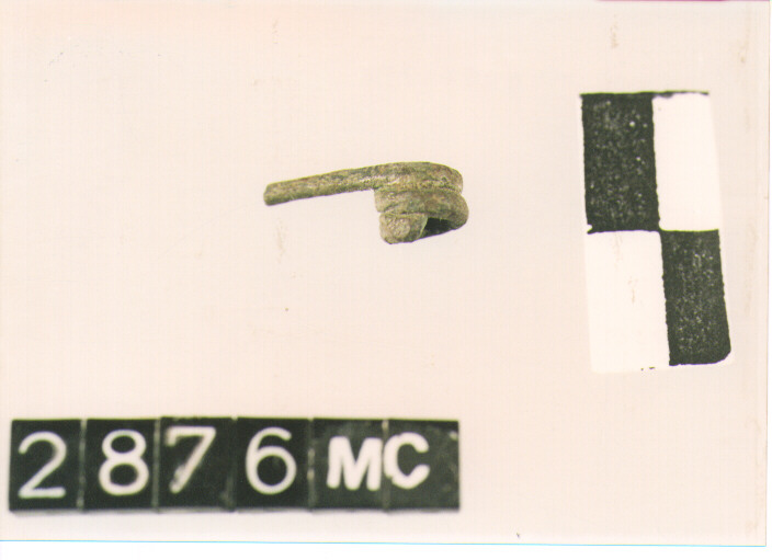 fibula/ frammento (secc. IV/ III a.C)