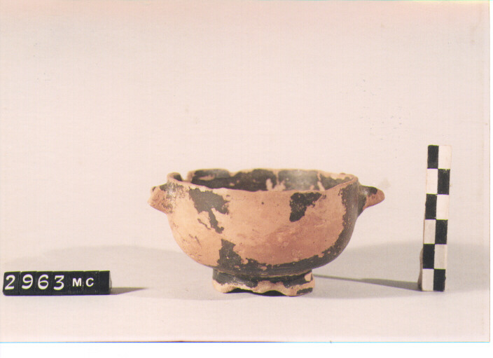 TAZZA (SEC. III A.C)