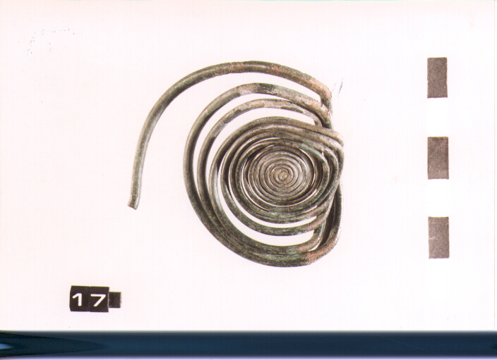 fibula/ spirale (SEC. VIII A.C)