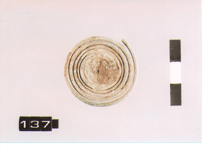 fibula/ spirale (SECC .IX\VIII A.C)