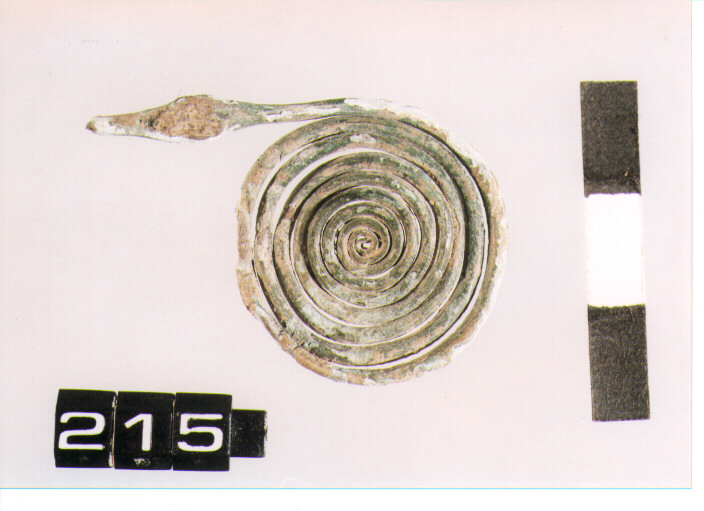 fibula/ spirale (SECC. IX\VIII A.C)