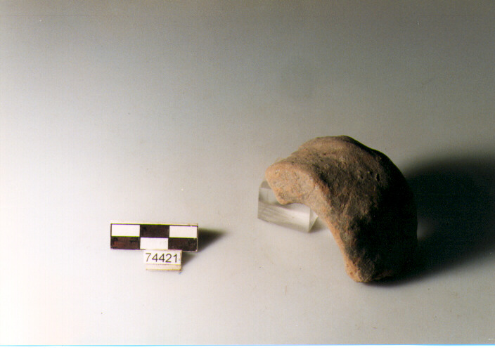 ansa a nastro, tipo A5 Ripoli - neolitico finale-Ripoli (IV MILLENNIO a.C)