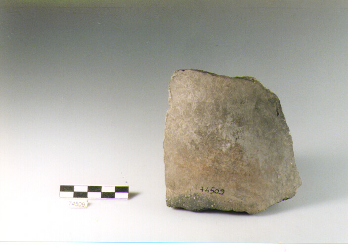 frammento, tipo E5 Ripoli - neolitico finale-Ripoli (IV MILLENNIO a.C)