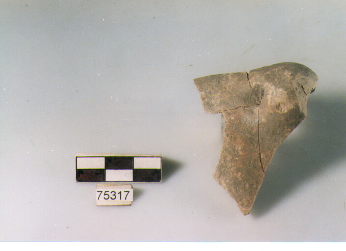 presa forata, tipo A12 Ripoli - neolitico finale-Ripoli I (IV MILLENNIO a.C)