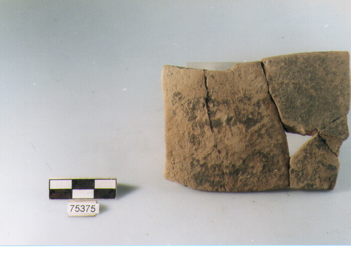 parete, tipo E15 Ripoli - neolitico finale-Ripoli (IV MILLENNIO a.C)