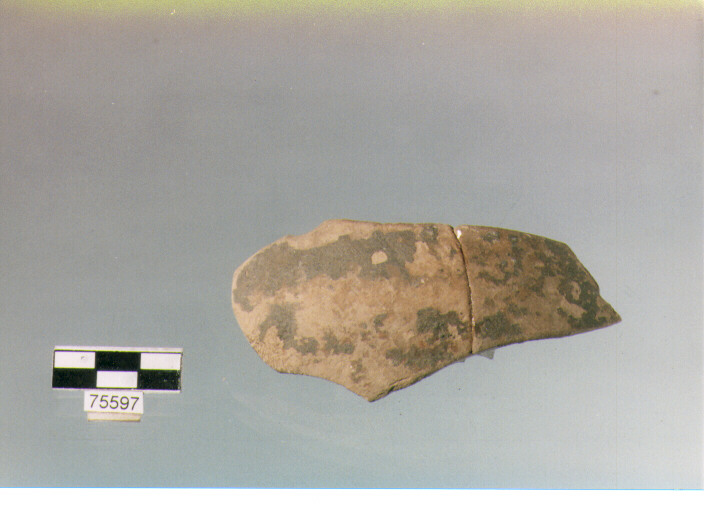 parete carenata, tipo E10, Ripoli - neolitico finale-Ripoli (IV MILLENNIO a.C)