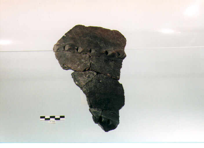 parete cordonata, cordoni tipo 9, Trasacco (età del bronzo medio)