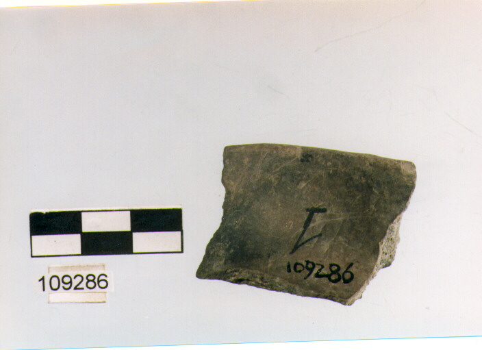vaso a collo, vasi a collo, tipo 8C, Grotta Sant'Angelo (età del bronzo)