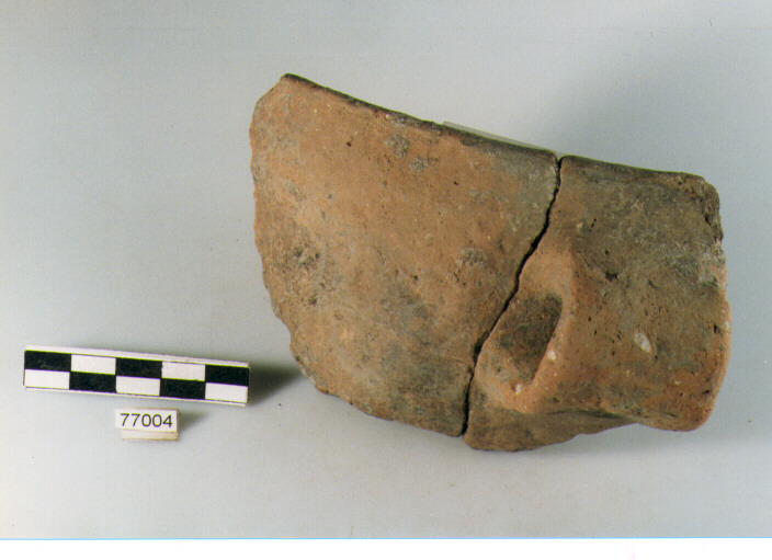 tazza, tipo F33 Ripoli - neolitico finale-Ripoli III (IV MILLENNIO a.C)