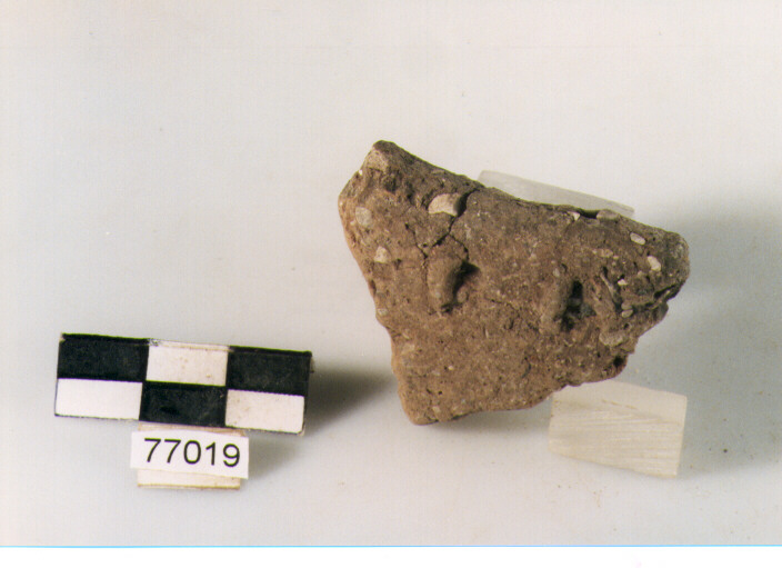 orlo, tipo E12 a1 Ripoli - neolitico finale-Ripoli III (IV MILLENNIO a.C)
