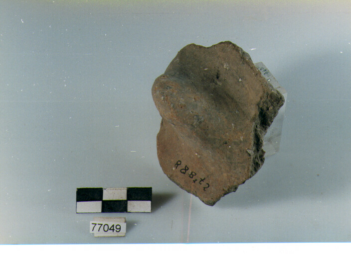 presa, tipo A11c, Ripoli - neolitico finale-Ripoli III (IV MILLENNIO a.C)