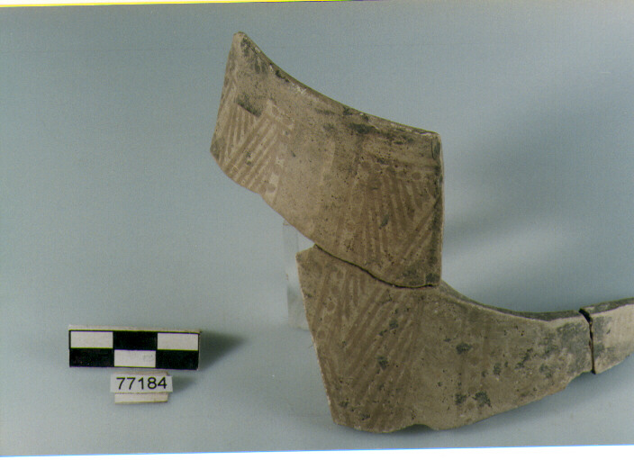 boccale, tipo F1 Ripoli - neolitico finale- Ripoli I (IV MILLENNIO a.C)