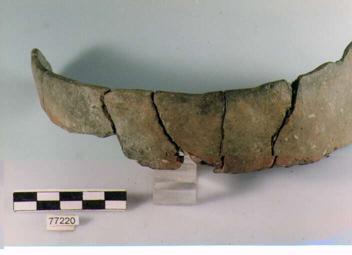 orlo, tipo E12 Ripoli - neolitico finale- Ripoli I (IV MILLENNIO a.C)