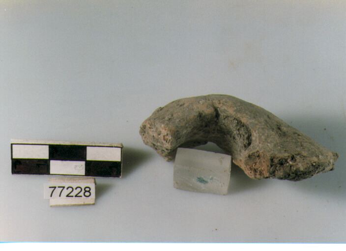 ansa a nastro, tipo A5 Ripoli - neolitico finale- Ripoli I (IV MILLENNIO a.C)