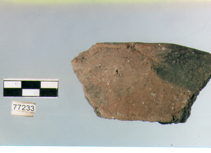 scodella troncoconica, tipo F 14, Ripoli - neolitico finale-Ripoli III (IV MILLENNIO a.C)