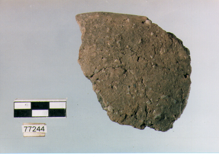 scodella, tipo F20 Ripoli - neolitico finale-Ripoli III (IV MILLENNIO a.C)