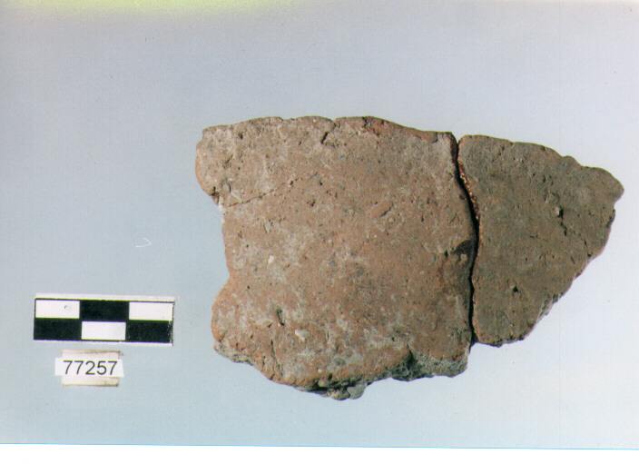 scodella troncoconica, tipo F 14, Ripoli - neolitico finale-Ripoli III (IV MILLENNIO a.C)