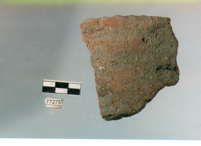 scodellone troncoconico, tipo F16, Ripoli - neolitico finale-Ripoli III (IV MILLENNIO a.C)