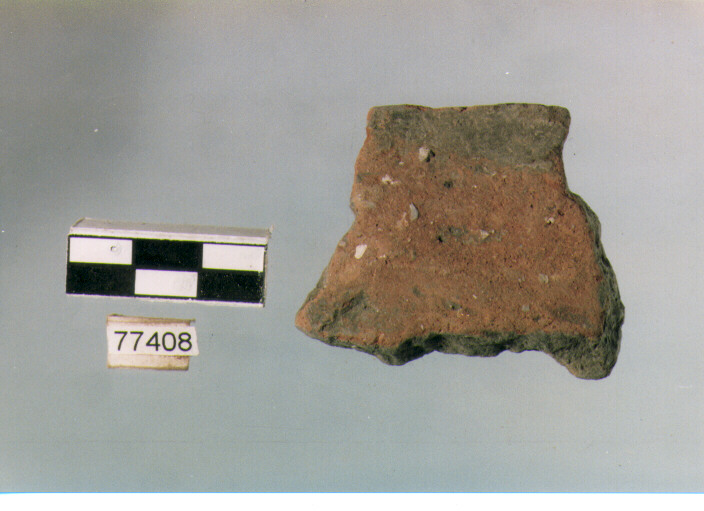orlo, tipo E 12, Ripoli - neolitico finale-Ripoli III (IV MILLENNIO a.C)