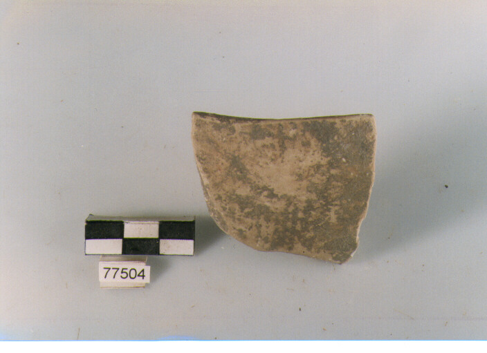 orlo, tipo E 12a2, Ripoli - neolitico finale-Ripoli II (IV MILLENNIO a.C)
