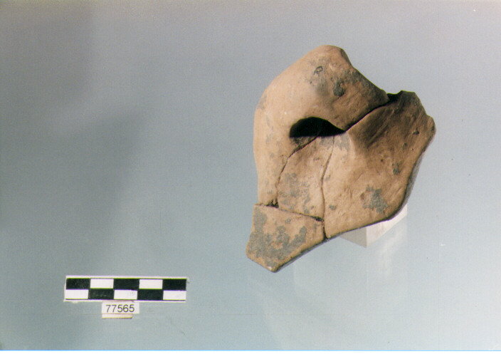 ansa ad anello, tipo A 1, Ripoli - neolitico finale-Ripoli III (IV MILLENNIO a.C)