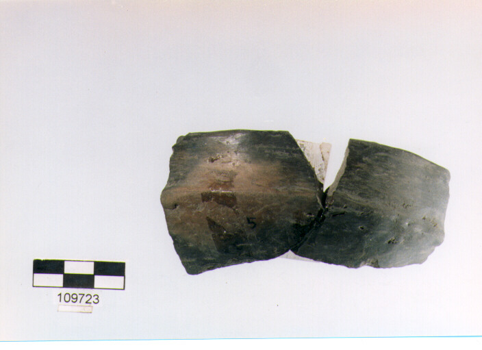 ciotola carenata, ciotole, tipo 11, Grotta Sant'Angelo (età del bronzo medio)