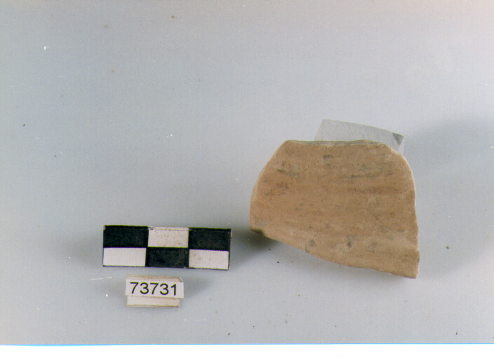 attacco di ansa, tipo E3a, Ripoli - neolitico finale-Ripoli I (IV MILLENNIO a.C)