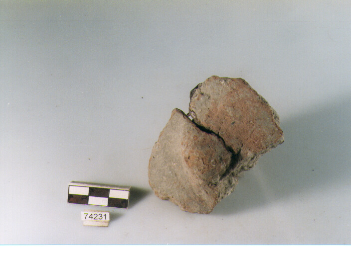 parete, tipo E12 Ripoli - neolitico finale-Ripoli I (IV MILLENNIO a.C)