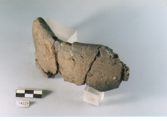 presa, tipo A11d Ripoli - neolitico finale-Ripoli I (IV MILLENNIO a.C)