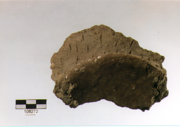 frammento, tipo E 3, Grotta S.Angelo - neolitico medio-finale (V/ IV millennio a.C)