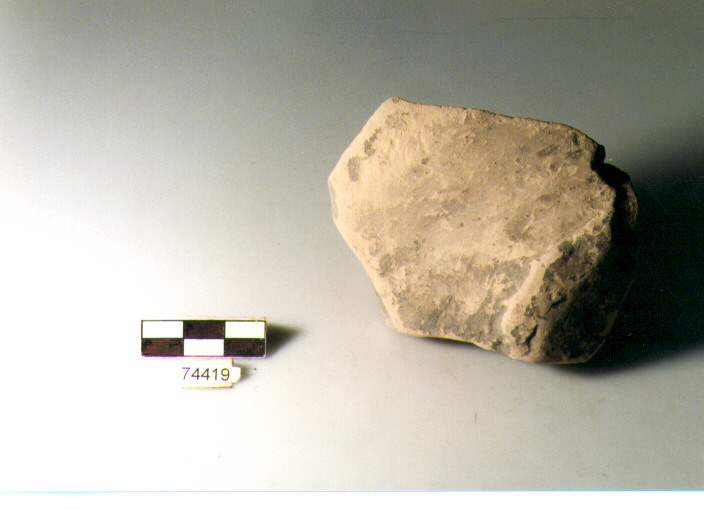 frammento, tipo E5, Ripoli - neolitico finale-Ripoli (IV MILLENNIO a.C)
