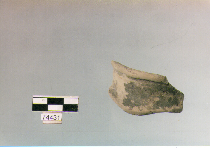 collo concavo, tipo E8, Ripoli - neolitico finale-Ripoli (IV MILLENNIO a.C)