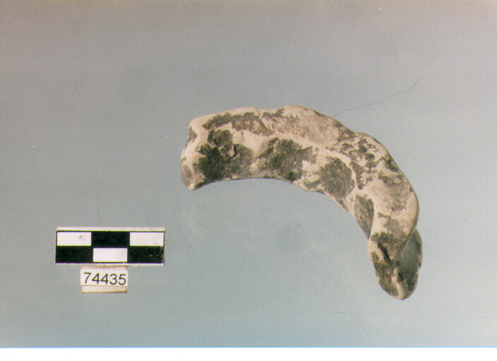 piede, tipo E3b, Ripoli - neolitico finale-Ripoli (IV MILLENNIO a.C)