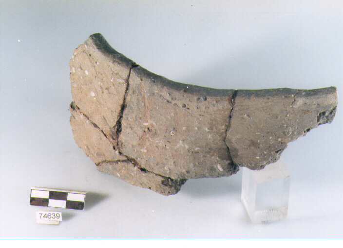 olla ovoide, tipo F10 Ripoli - neolitico finale-Ripoli I (IV MILLENNIO a.C)