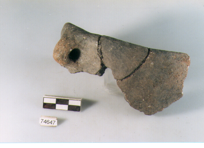 tazza, tipo F33 Ripoli - neolitico finale-Ripoli I (IV MILLENNIO a.C)