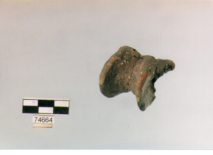 ansa tubolare insellata, tipo A8a Ripoli - neolitico finale-Ripoli (IV MILLENNIO a.C)
